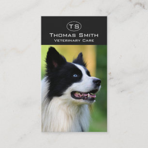 Zwart-witte Border Collie hond Visitekaartje
