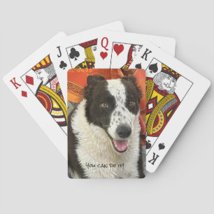 Zwart-witte Bordercollie Speelkaarten