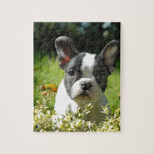 Zwart-witte bull Dog Puppy Legpuzzel