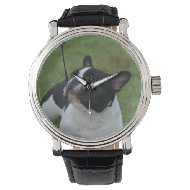 Zwart-witte Bulldog Horloge (Voorkant)