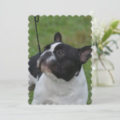 Zwart-witte Bulldog Kaart (Staand voorkant)