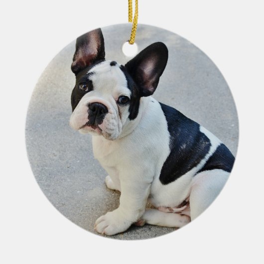 Zwart-witte Bulldog Keramisch Ornament (Voorkant)