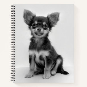 Zwart-witte Chihuahua-puppyfoto Notitieboek