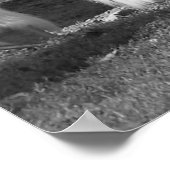 Zwart-witte clydesdale poster (Hoek)