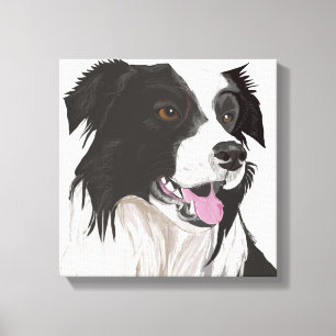 Zwart-witte collie met bruin-eiwit portret canvas afdruk