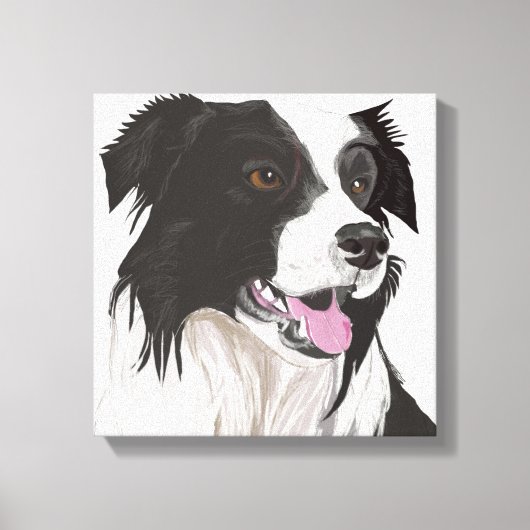 Zwart-witte collie met bruin-eiwit portret canvas afdruk (Voorkant)