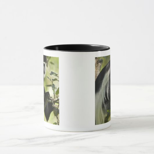 Zwart-witte Colobus-aap Mok (Midden)