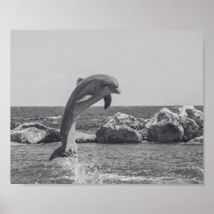 Zwart-witte dolfijn Tropische afdrukbare kunst Poster