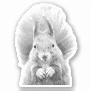 Zwart-witte eekhoorn sticker