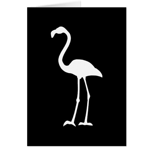 Zwart-witte flamingo (Voorkant)