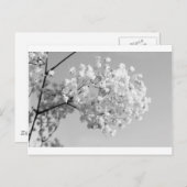 Zwart-witte Floral Briefkaart (Voorkant / Achterkant)