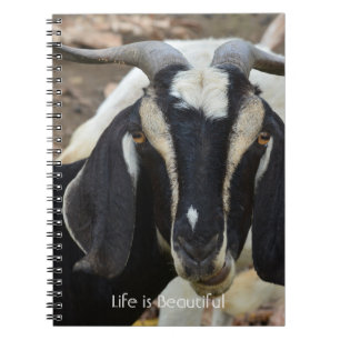 Zwart Witte Geit Kauai (mijn fotografie) Notitieboek