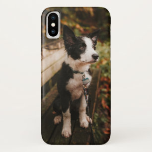 Zwart-witte-grenscollie op parkbank iPhone x hoesje