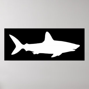 Zwart-witte haai poster