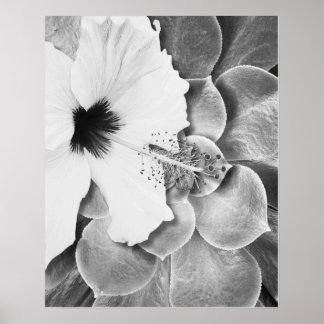 Zwart-Witte Hibiscus Poster