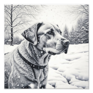 Zwart-witte hond AI-schets winterscene Foto Afdruk