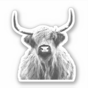 Zwart-witte hooglandkoe sticker