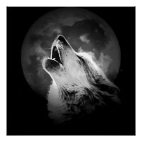Zwart-witte howling Wolf & Moon