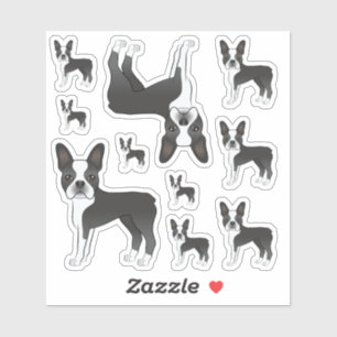 Zwart-witte illustraties van Boston Terrier-honden Sticker