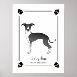 Zwart-witte Italiaanse Greyhound Met Pootjes & Tek Poster