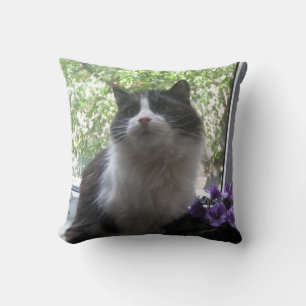 Zwart-witte kat, bloemen. kussen