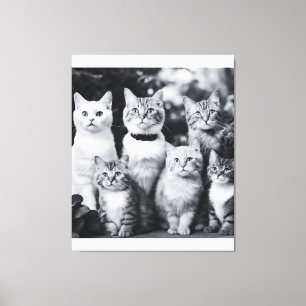 Zwart-witte kat foto kunst canvas afdruk