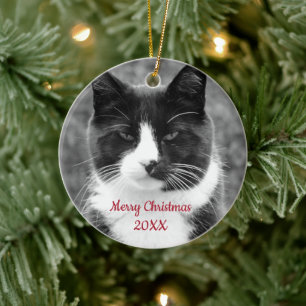 Zwart-witte kat keramisch ornament