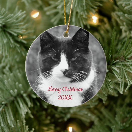 Zwart-witte kat keramisch ornament (Boom)