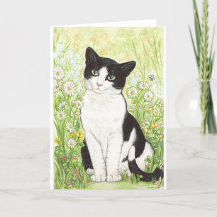 Zwart-witte kat met madeliefjes kaart