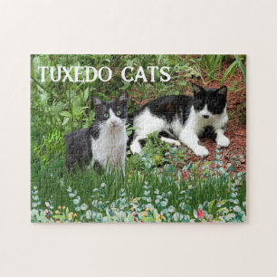 Zwart-witte katten in bloementuin legpuzzel