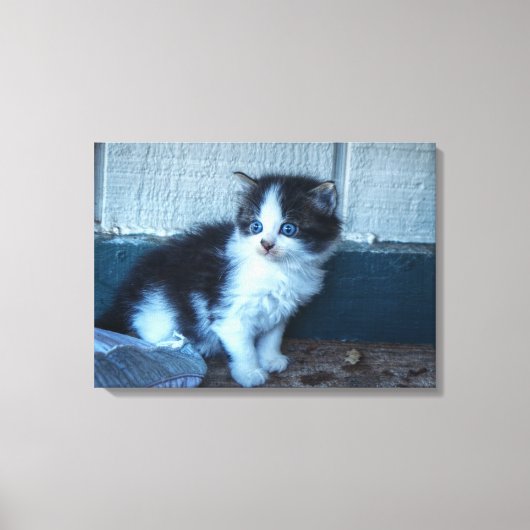 Zwart + Witte Keuten Canvas Afdruk (Voorkant)
