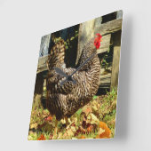 Zwart-witte Kip Vierkante Klok (Hoek)