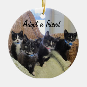 Zwart-witte Kittens Keramisch Ornament