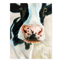 Zwart-witte koe portretschilderij