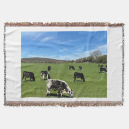 Zwart-witte Koeien grazen in velddeken gooien Deken