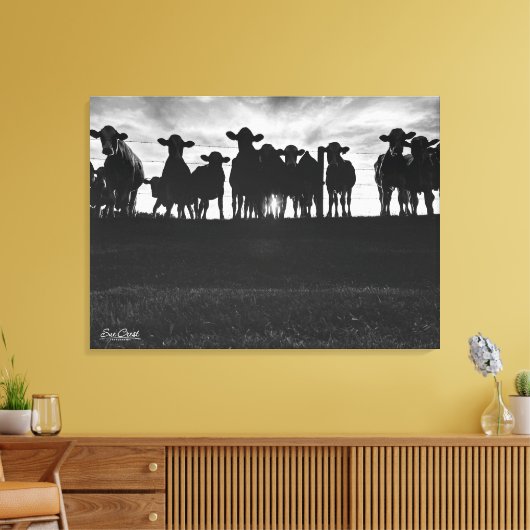 Zwart-witte Koeien langs hek Canvas Afdruk (Insitu (Woonkamer))