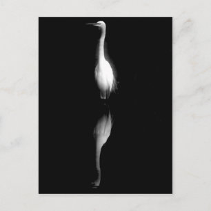 Zwart-witte kraan Foto Briefkaart