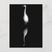 Zwart-witte kraan Foto Briefkaart (Voorkant)