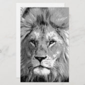 Zwart-Witte Leeuw Briefpapier (Voorkant / Achterkant)