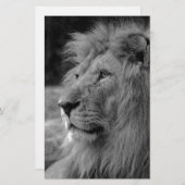 Zwart & Witte Leeuw - Wild Dier Briefpapier (Voorkant / Achterkant)