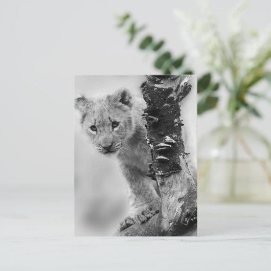 Zwart-witte leeuwenwelpje briefkaart (Staand voorkant)