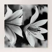 Zwart-witte lelies puzzel legpuzzel (Horizontaal)