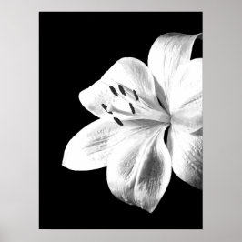 Zwart-witte Lily Poster