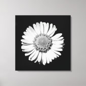 Zwart Witte Madelief Bloem Kunst Botanische Fotogr Canvas Afdruk (Voorkant)