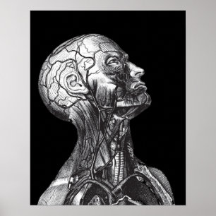 Zwart-witte  medische anatomische hoofdnek poster