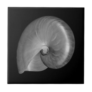 Zwart-witte Nautilus Schelp Tegeltje