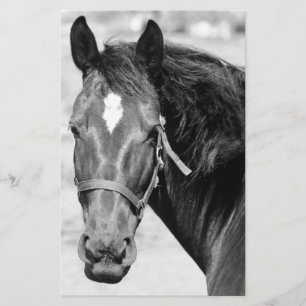 Zwart Witte Paard Briefpapier