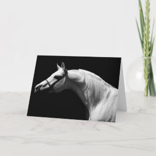 Zwart & Witte Paard Portret Wenskaart Kaart