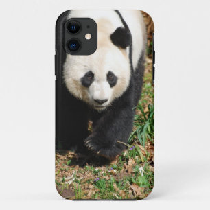 Zwart-witte Panda iPhone 11 Hoesje
