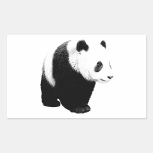 Zwart-witte Panda Rechthoekige Sticker